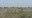 Turkana houses1.JPG