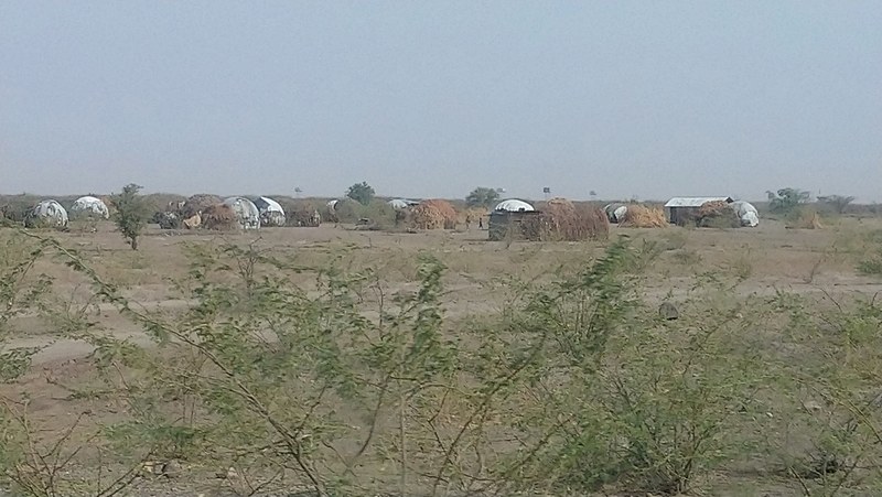 Turkana houses1.JPG