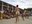 Safeguarding Intangible Cultural Heritage in Basic Education project in Namibia and Zimbabwe