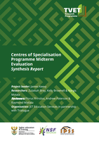 Centres of Specialisation Programme Midterm Evaluation